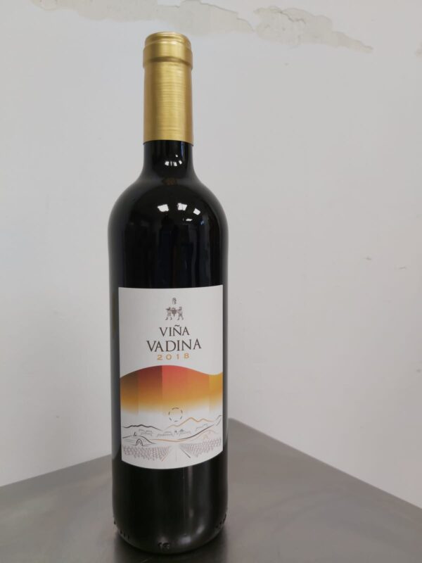 Vino Viña Vadina joven